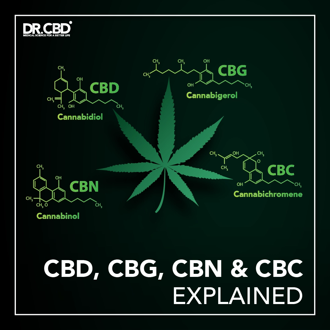 Read more about the article CBD, CBG, CBN & CBC EXPLAINED