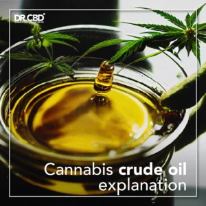 Read more about the article Cannabis crude oil explanation