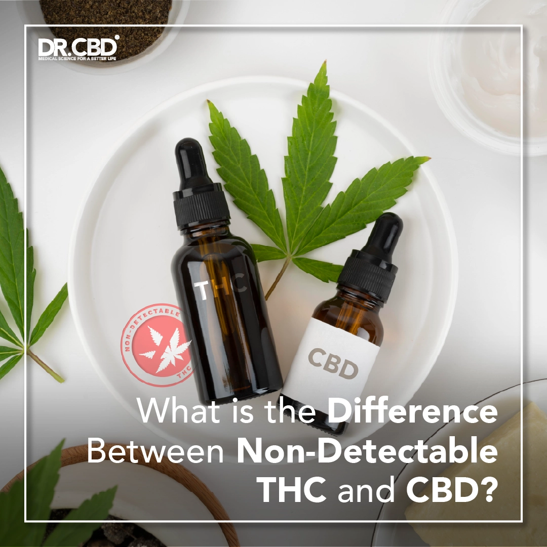 You are currently viewing What is the Difference Between Non-Detectable THC and CBD?