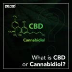 The Comprehensive Guide to CBD: Exploring Cannabidiol’s Benefits, Usage, and Legality