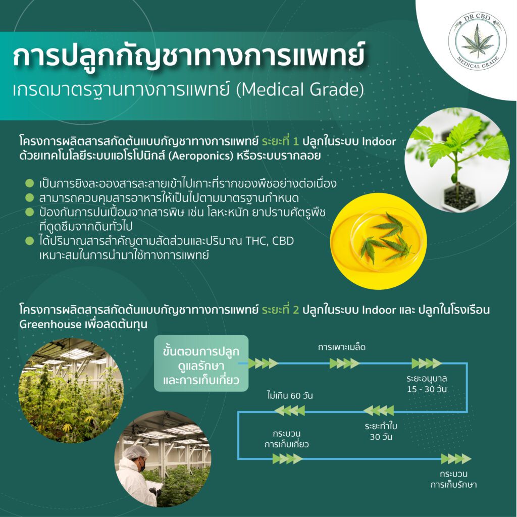 Steps to grow Medical Grade Cannabis