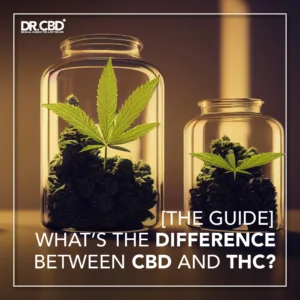 Read more about the article CBD vs THC: Understanding the Differences