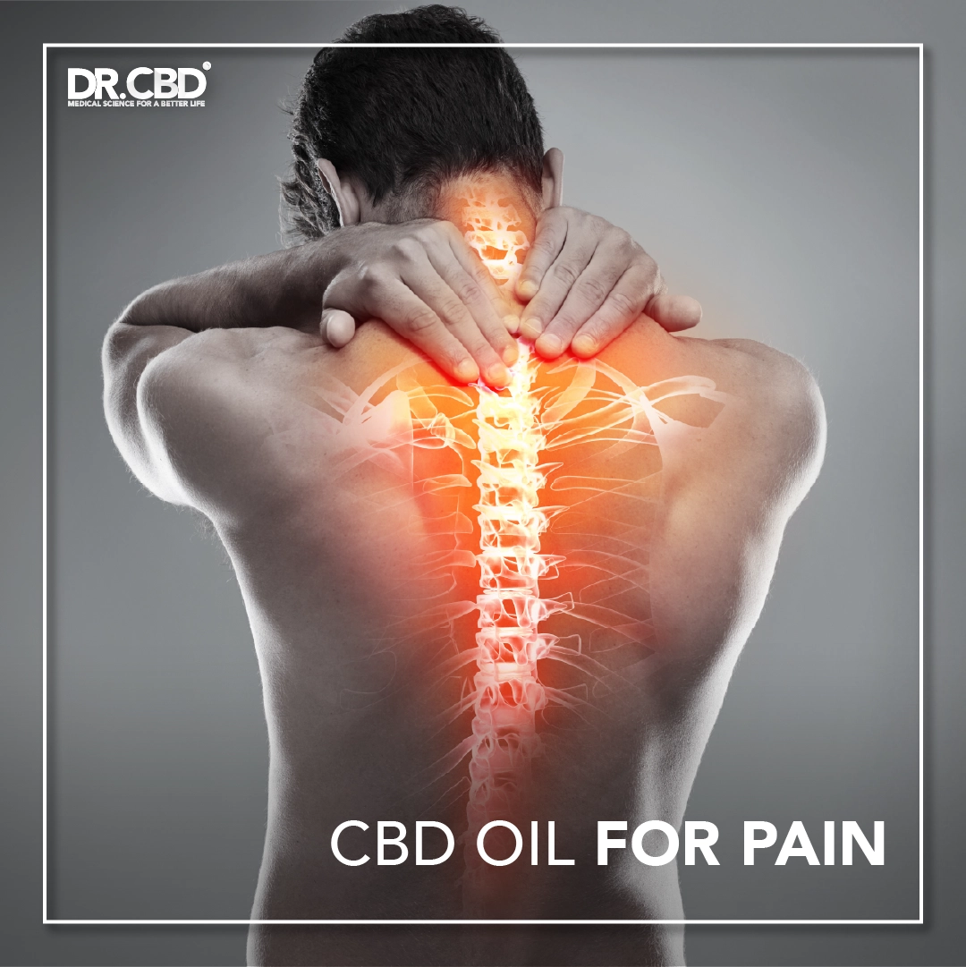 Read more about the article Finding Relief with CBD for Pain
