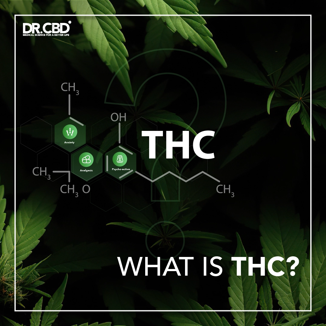 Read more about the article What is THC?