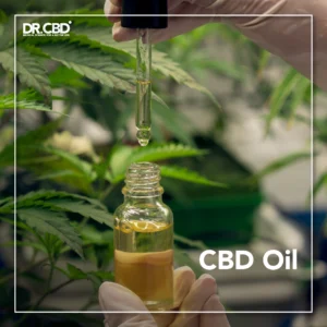Read more about the article Your Comprehensive Guide to Using CBD Oil