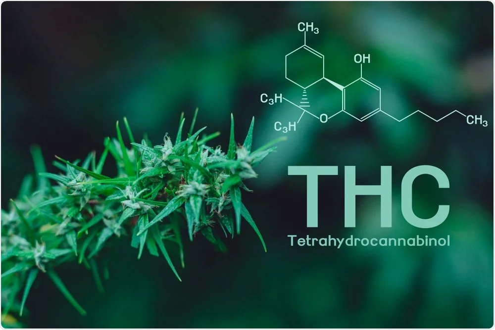 What is THC