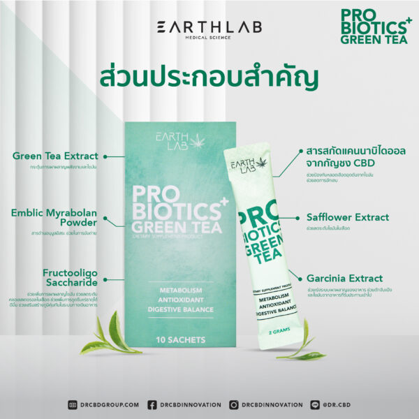 probiotic green tea 3