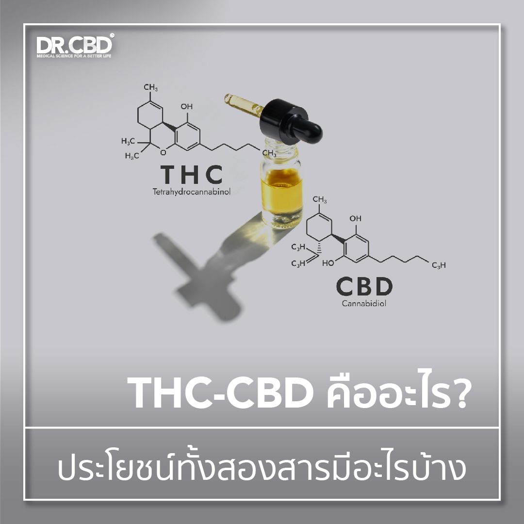 THC-CBD คืออะไร ประโยชน์ทั้งสองสารมีอะไรบ้าง