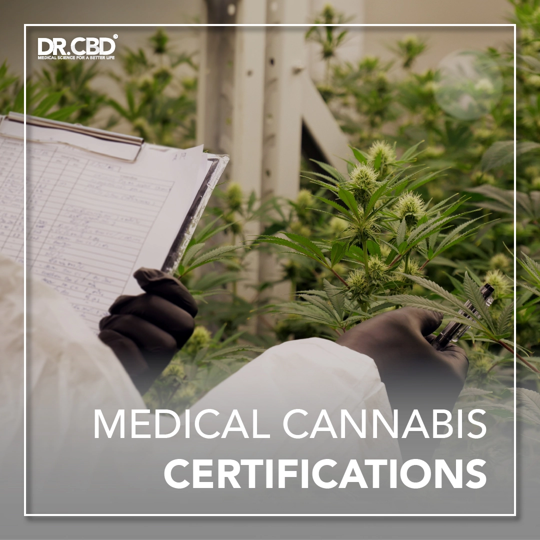 You are currently viewing Medical Cannabis Certifications | ใบรองรับมาตรฐานกัญชงมีอะไรบ้าง