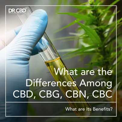 You are currently viewing What are the Differences Among CBD, CBG, CBN, CBC | What are Its Benefits?