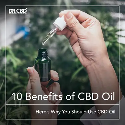 Read more about the article Exploring the Versatile Uses of CBD Oil