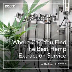 Read more about the article Where Can You Find the Best Hemp Extraction Service in Thailand in 2023?