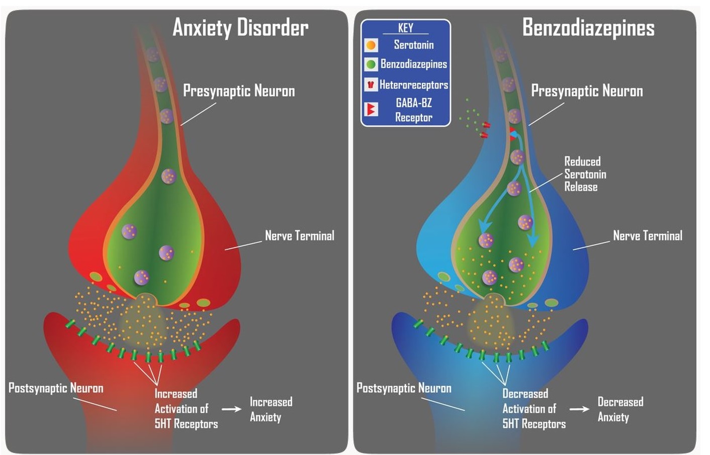 Anxiolytic Effects