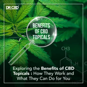 Read more about the article Exploring the Benefits of CBD Topicals: How They Work and What They Can Do for You