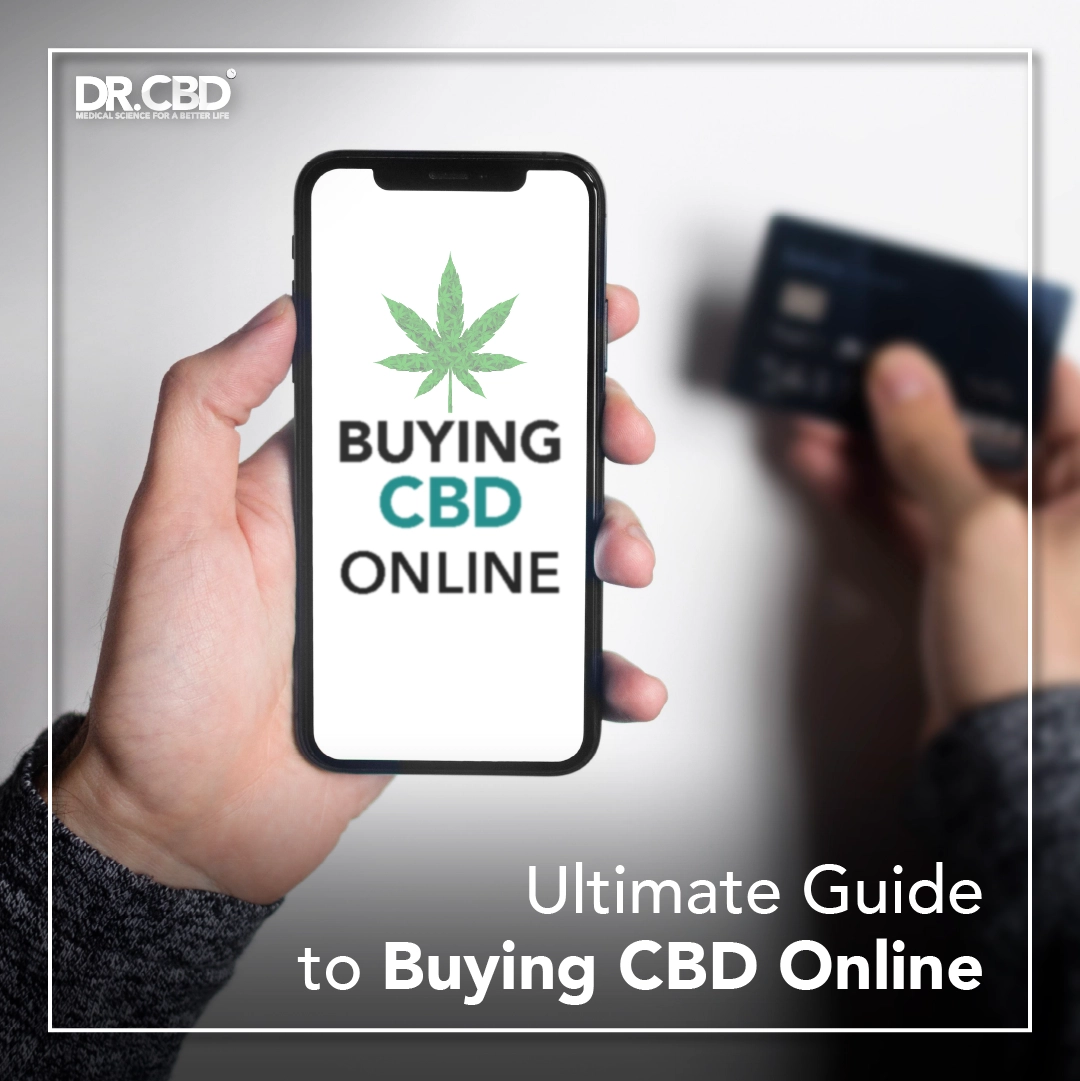 You are currently viewing Ultimate Guide to Buying CBD Online