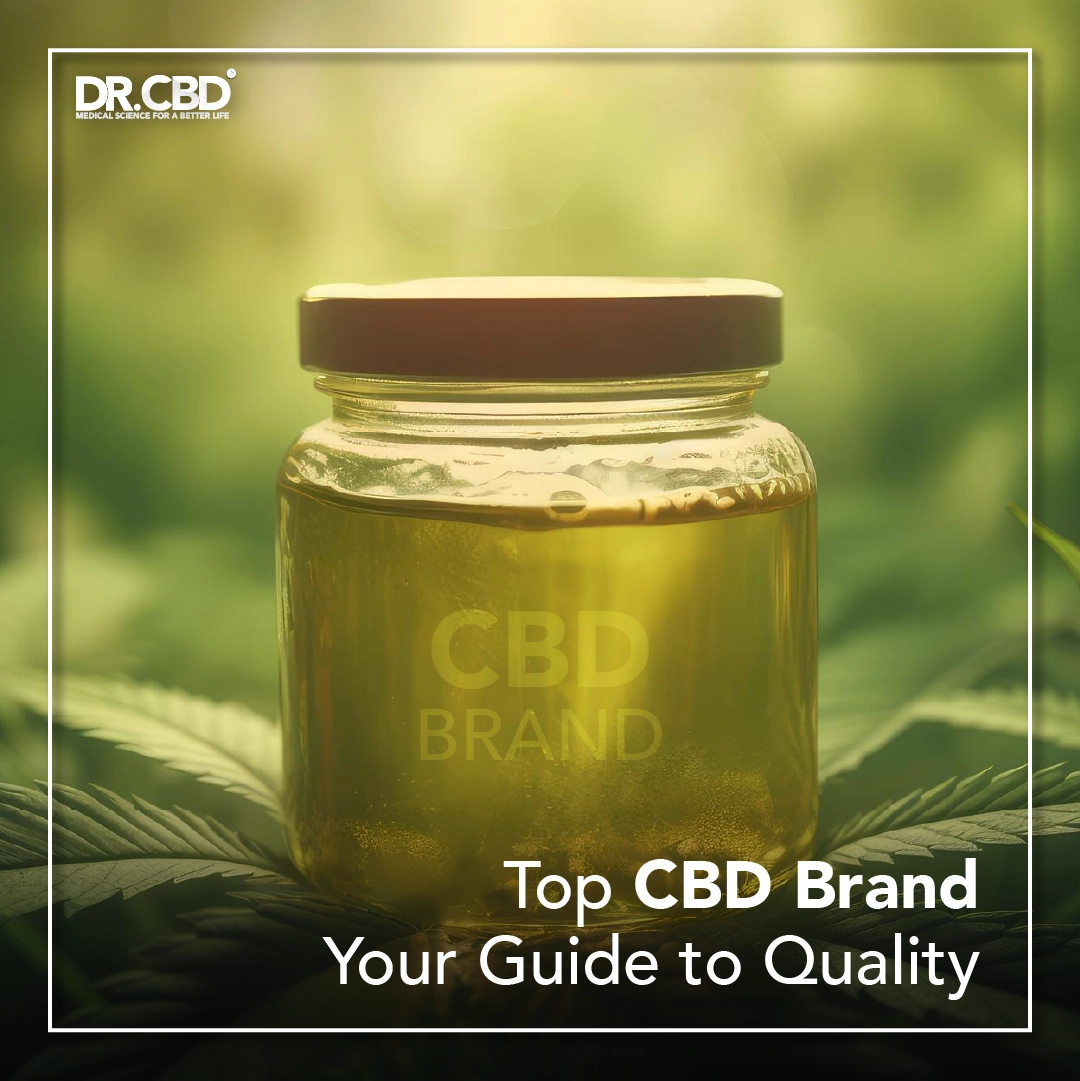 Read more about the article Top CBD Brand. Your Guide to Quality