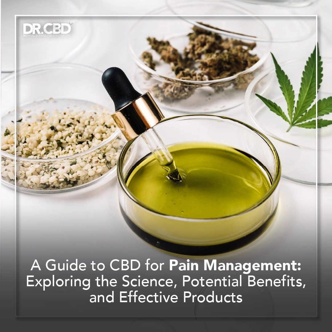 You are currently viewing A Guide to CBD for Pain Management: Exploring the Science, Potential Benefits, and Effective Products