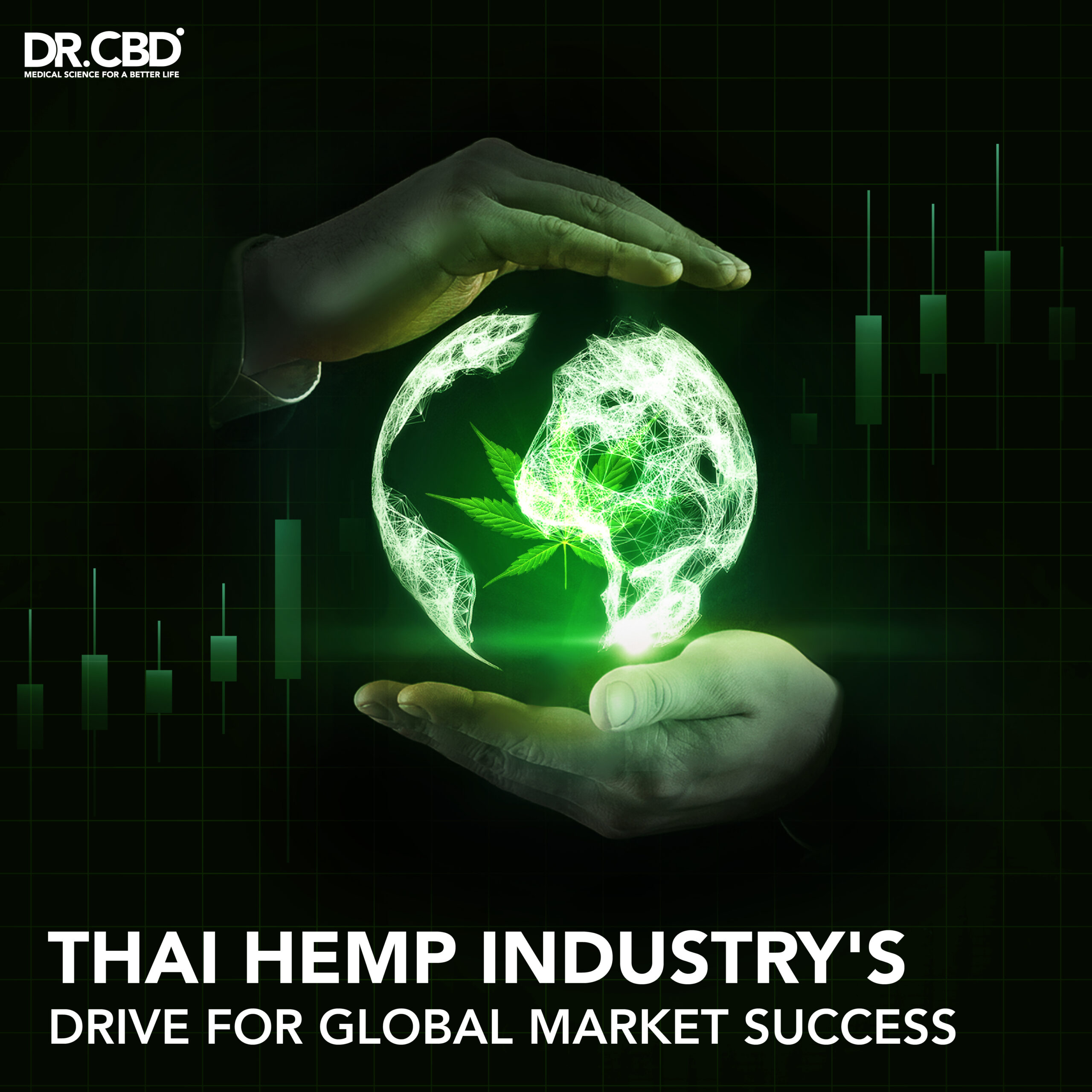 You are currently viewing Thai Hemp Industry’s Drive for Global Market Success