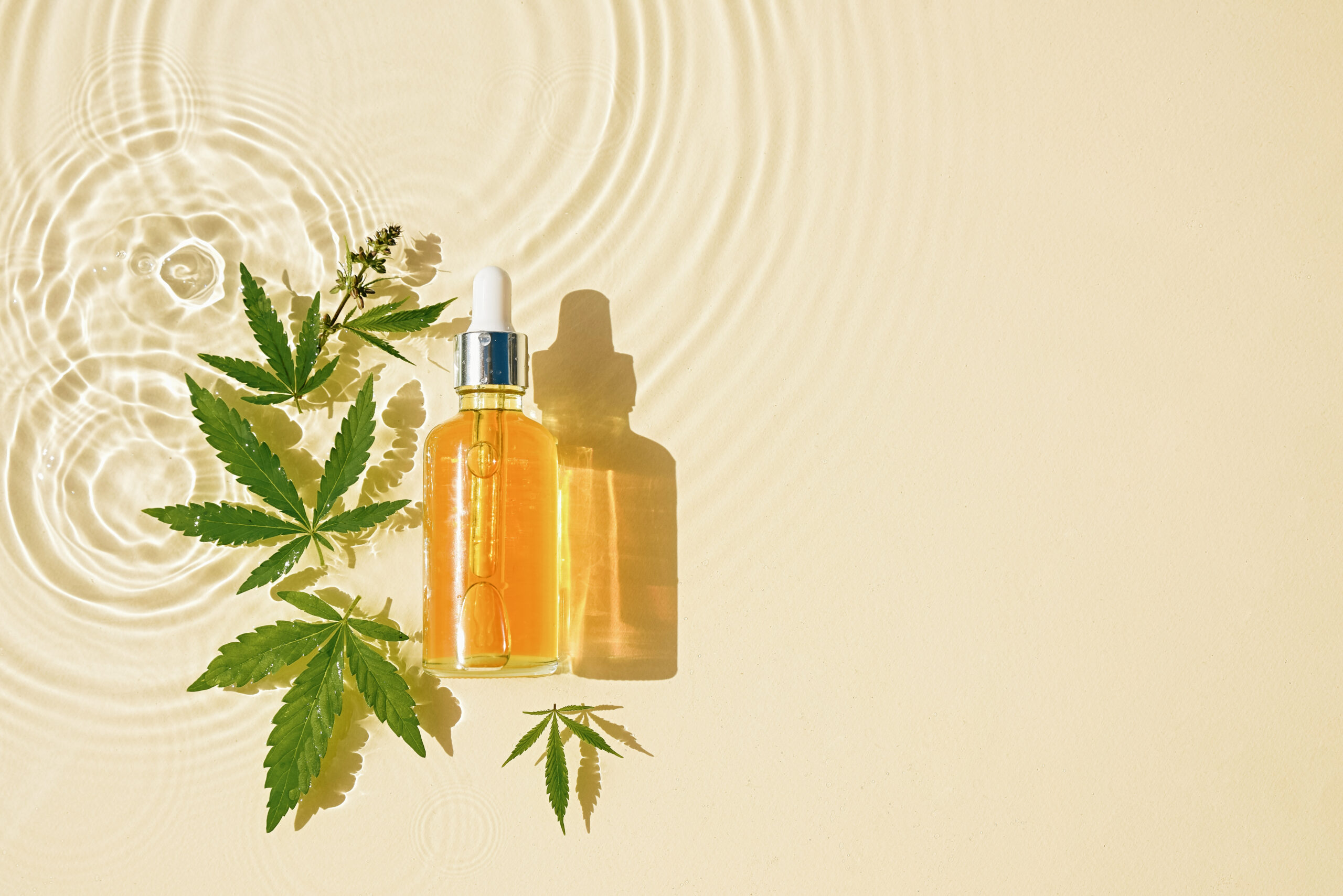 CBD oil in dropper bottle, cannabis leaves, transparent oily background