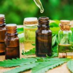 Easing Into Sleep: The Best CBD Oils and How They Can Help You Snooze Better