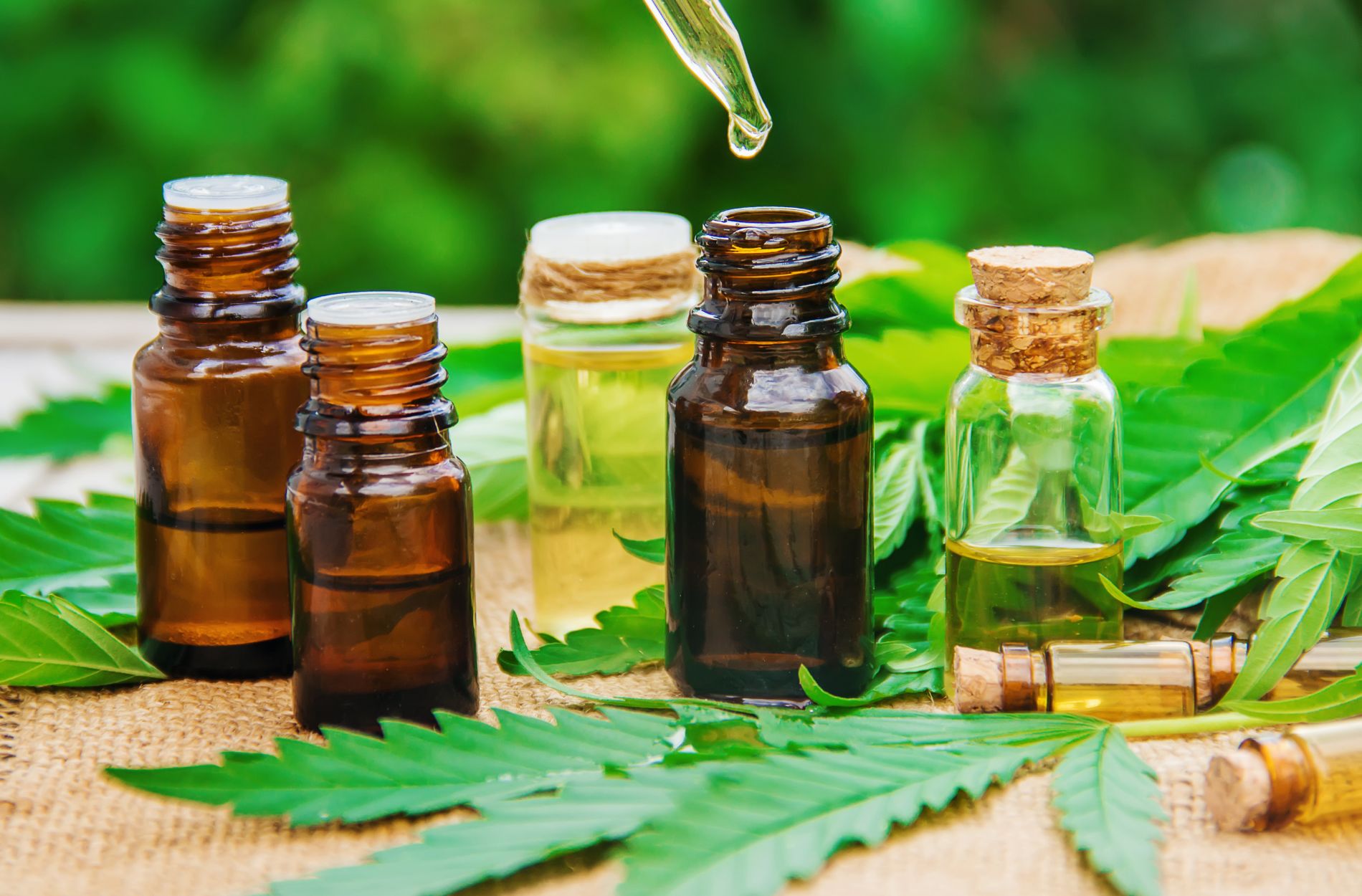 Read more about the article Easing Into Sleep: The Best CBD Oils and How They Can Help You Snooze Better